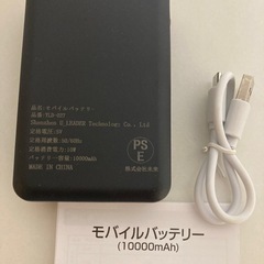 ✨新品✨　未開封品　電熱ベスト 13箇所発熱 10000mAh 加熱ベストの画像