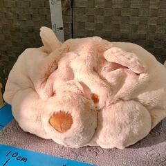 1204-110 プーさん 被り物  ディズニー