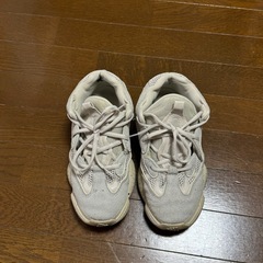 Yeezy 500 Blush
