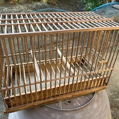 メジロ　鳥カゴ　鳥籠