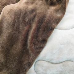 こたつ布団の画像