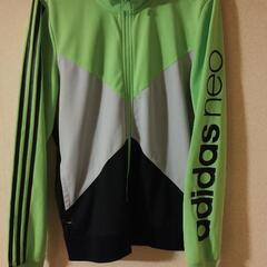adidas　neo