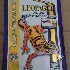 レオパゲル 60g 未開封