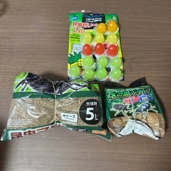 カブトムシ クワガタムシ用