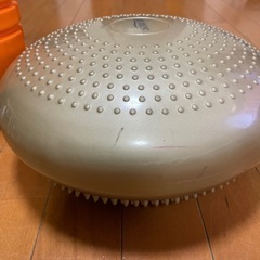 ローラー&バランスクッション　2点セット の画像