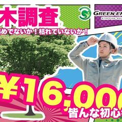 鉄道沿線近接樹木調査における助手（直行直帰）