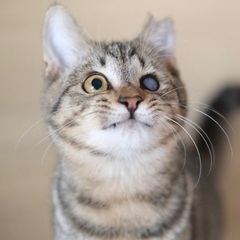 ぴりか♡家族ができました