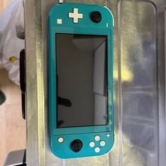 Switchライト（ジャンク）