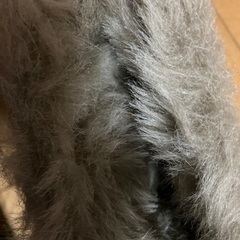✨earth 冬用ブーツ　L 美品✨の画像