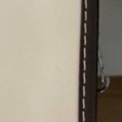 ニトリランドセル  わんぱく組WPGM(BJ)の画像