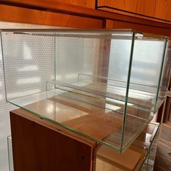 GEX レプテリア300の画像