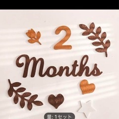 【新品】月齢フォト　バナーセットの画像