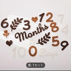 【新品】月齢フォト　バナーセットの画像