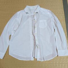 レディース　Tシャツ