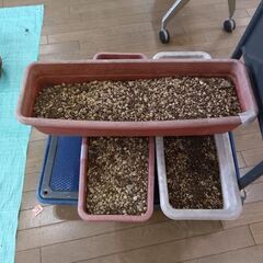 土　いかがでしょうか？