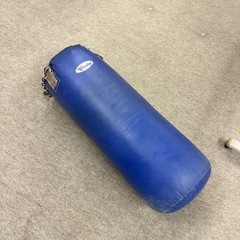 ウイニング　サンドバッグ