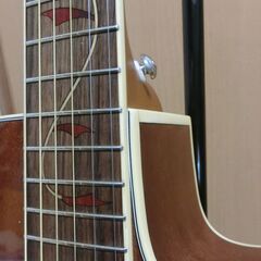 ❤️弦高調整済 Ibanez アイバニーズ PC32MHCE-NMH＋ケースなどの画像