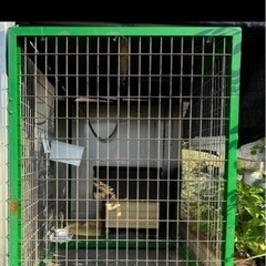 特大鉄檻 小型犬〜超大型犬 犬小屋 物置 