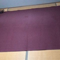 お値下げ　ホットカーペット3畳タイプ(MORITA)と断熱性アル...