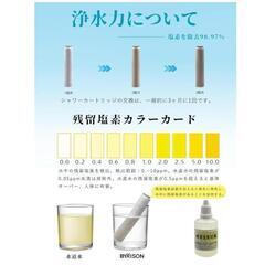 【特価】 シャワーヘッド 節水80% 塩素除去 浄水美肌 極細水流 3段階モードの画像