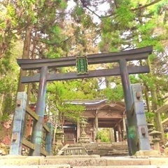 のんびり山歩き⭐︎応募待ってま〜す⭐︎25歳〜55歳⭐︎登山ビギナー歓迎⭐︎ 12月29日(日)　京都愛宕山 - 京都市