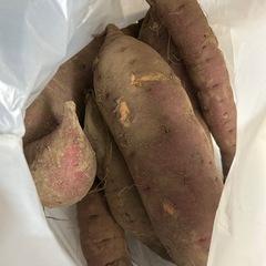 [期間限定大特価]さつまいも　400円/kg
