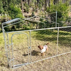 🐶小型中型犬のワンちゃんお友達募集🐩 - 友達