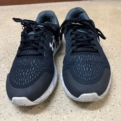 価格訂正しますアンダーアーマースニーカー27.5センチの画像