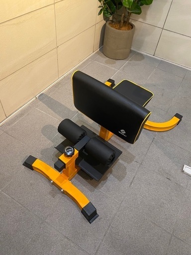スクワットベンチ　シシースクワット