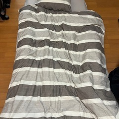 【ニトリ】毛布・布団・枕セット