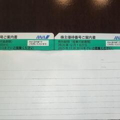 ANA株主優待2024/12〜2025/11 ×2枚