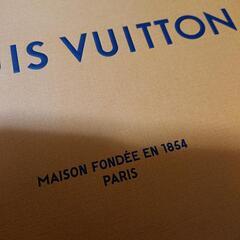 LOUIS VUITTON ルイヴィトン ショッパー 紙袋①の画像