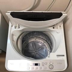 使用回数少なめ⭐SHARPの全自動洗濯機の画像