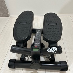 【ほぼ新品】ダイエット器具 健康 ナイスデイ