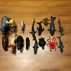 動物フィギュア