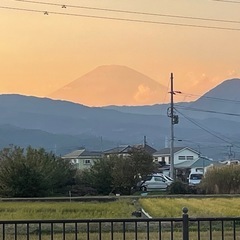 自然の力浄化体験in小田原