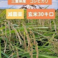 令和6年度　三重県産コシヒカリ　玄米30キロ
