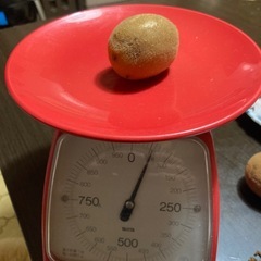 キウイフルーツ５０個 自家製農薬不使用の画像