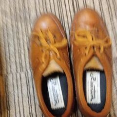 ０円男性靴、25EEEですが,25.5でも、入ります。できるだけ...