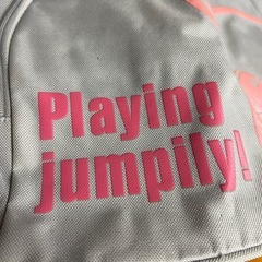 PostPetコモモバッグの画像