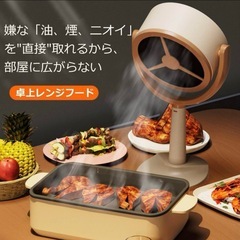 新品未使用　2個セット 嫌なニオイとさよなら お手入れ簡単【卓上レンジフード】ニオイ タバコ 揚げ物鍋餃子 吸煙 USB ベージュの画像