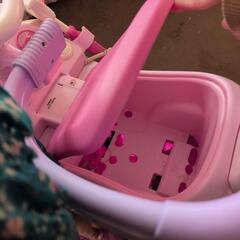 プリンセスビジカー  中古の画像