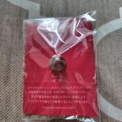 VENDOME AOYAMAで貰ったピンブローチ（未使用）の画像