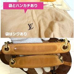 ルイヴィトン カバアンブルPM ビニール トート スケルトンの画像
