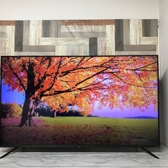 即日受渡❣️アイリスオーヤマ55型 4K液晶テレビ　裏番組同時録画　33500円