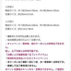 郵送可★スタジオアリス★四つ切り、六つ切り★デザインフォト⑤(フレーム付)1万円相当超のプレゼント券の画像