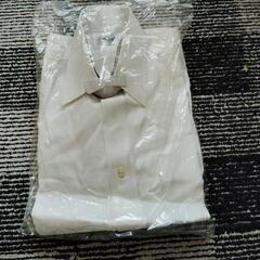 ワイシャツ