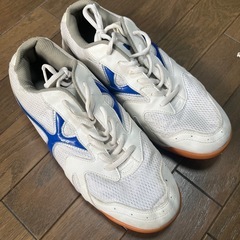 体育館シューズ　26.5