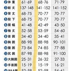 Fellow MLB 3x5mm セミドライ ウェットスーツ の画像