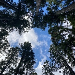 🏕️キャンプしませんか？🏕️